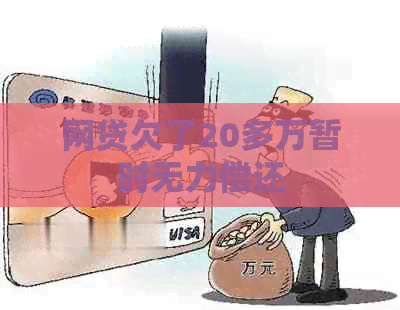 网贷欠了20多万暂时无力偿还