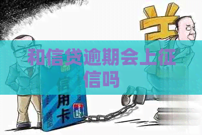 和信贷逾期会上吗