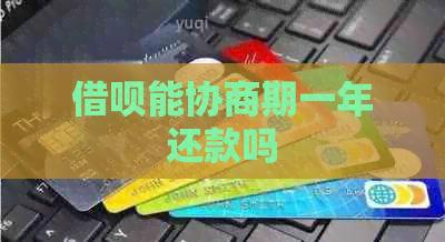 网贷能协商期一年还款吗