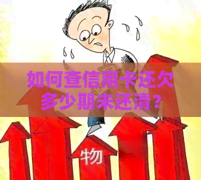 如何查信用卡还欠多少期未还清？