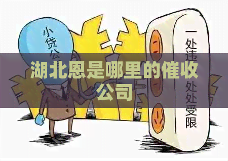 湖北恩是哪里的公司