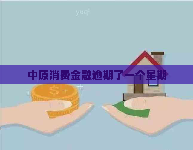 中原消费金融逾期了一个星期