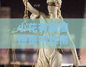 小花有额度但是不能借