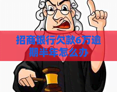 招商银行欠款6万逾期半年怎么办