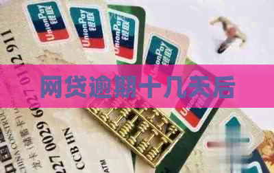 网贷逾期十几天后