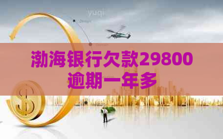 渤海银行欠款29800逾期一年多