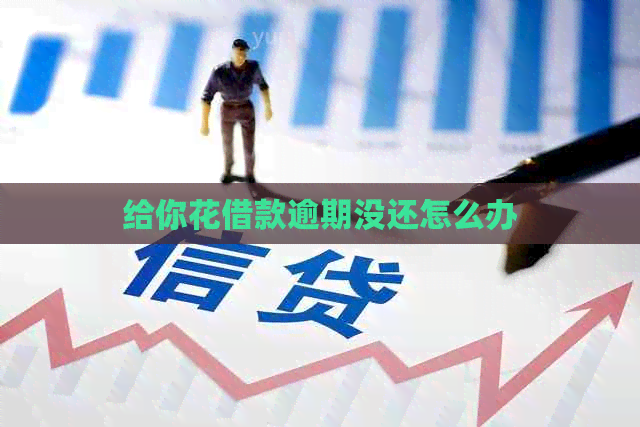 给你花借款逾期没还怎么办