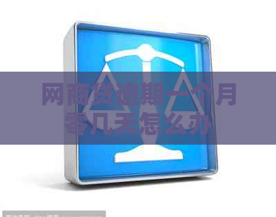 网贷逾期一个月零几天怎么办