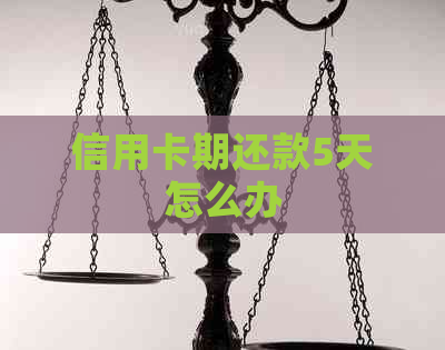 信用卡期还款5天怎么办