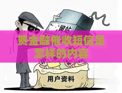 费金融短信是怎样的内容
