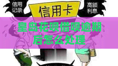皇岛信用卡网贷逾期后怎么处理