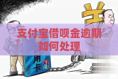 支付宝网贷金逾期如何处理