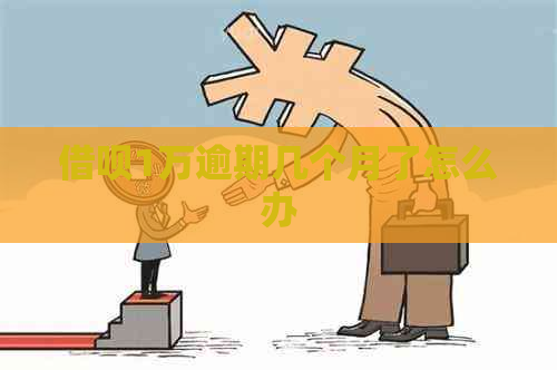 网贷1万逾期几个月了怎么办