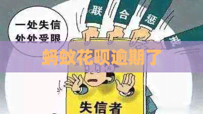 蚂蚁信用卡逾期了