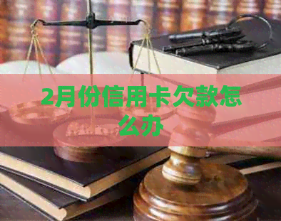 2月份信用卡欠款怎么办