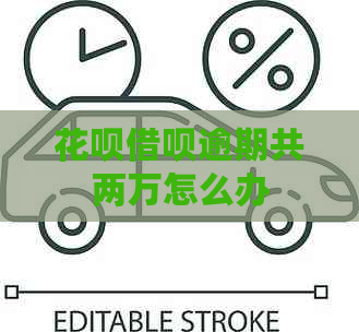 信用卡网贷逾期共两万怎么办