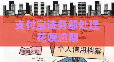 支付宝法务部处理信用卡逾期