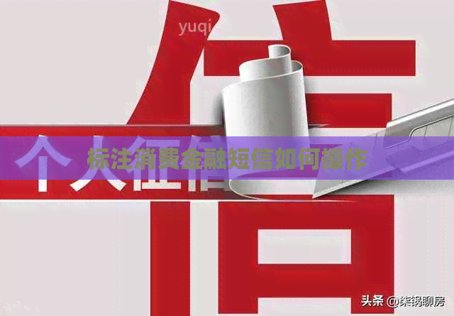标注消费金融短信如何操作
