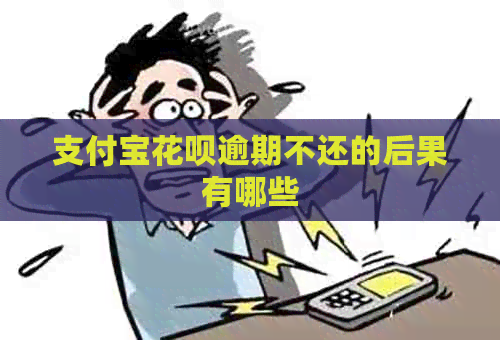 支付宝信用卡逾期不还的后果有哪些