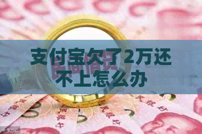 支付宝欠了2万还不上怎么办