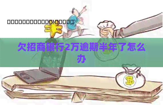 欠招商银行2万逾期半年了怎么办