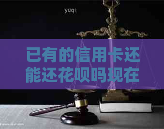 已有的信用卡还能还信用卡吗现在怎么还款？