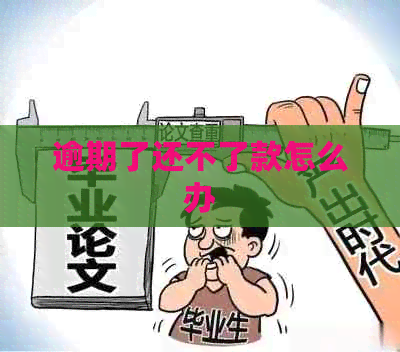逾期了还不了款怎么办