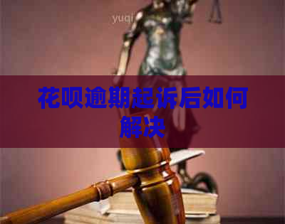 信用卡逾期起诉后如何解决