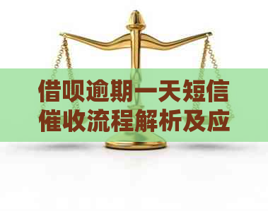 网贷逾期一天短信流程解析及应对策略
