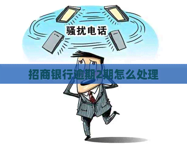 招商银行逾期2期怎么处理