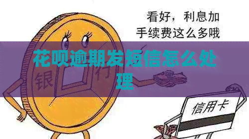 信用卡逾期发短信怎么处理