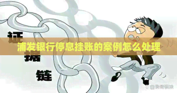 浦发银行停息挂账的案例怎么处理