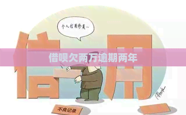 网贷欠两万逾期两年
