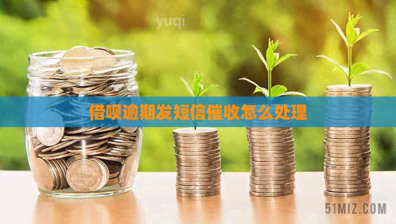 网贷逾期发短信怎么处理
