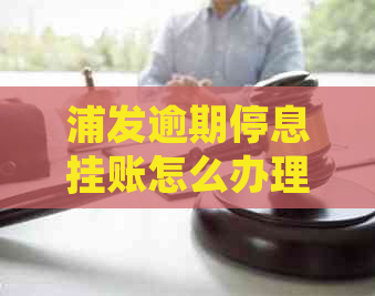 浦发逾期停息挂账怎么办理