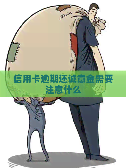 信用卡逾期还诚意金需要注意什么