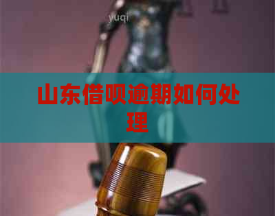 山东网贷逾期如何处理