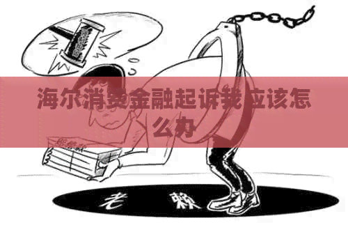 海尔消费金融起诉我应该怎么办