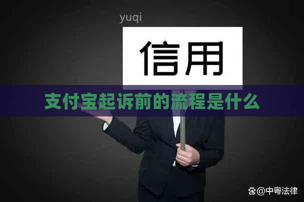 支付宝起诉前的流程是什么