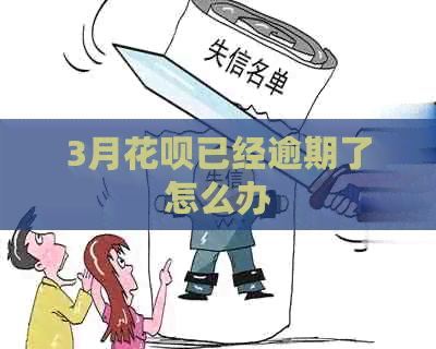 3月信用卡已经逾期了怎么办