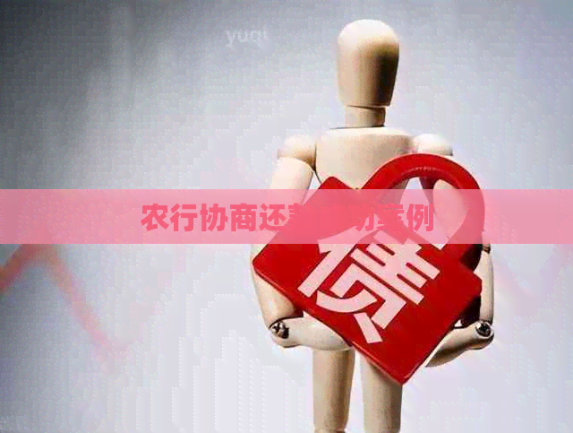 农行协商还款成功案例
