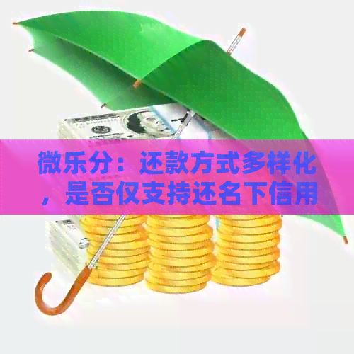 微乐分：还款方式多样化，是否仅支持还名下信用卡？