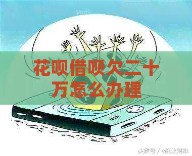 信用卡网贷欠二十万怎么办理
