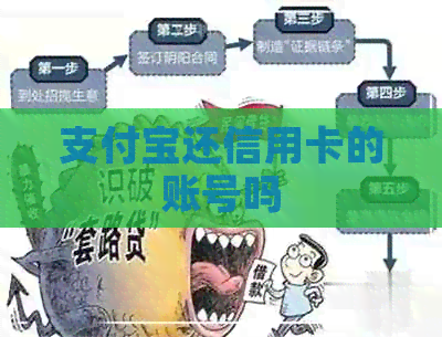 支付宝还信用卡的账号吗