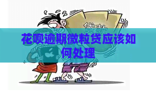 信用卡逾期微粒贷应该如何处理