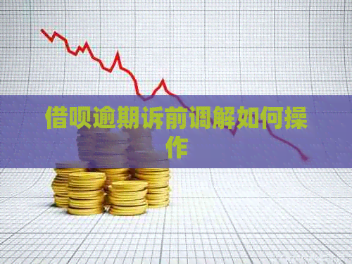 网贷逾期诉前调解如何操作