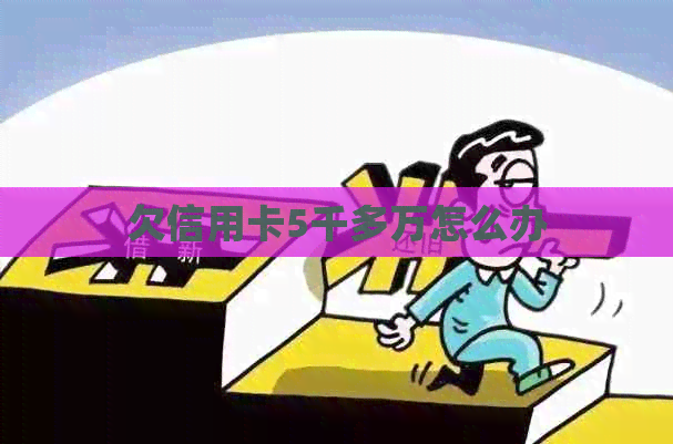 欠信用卡5千多万怎么办