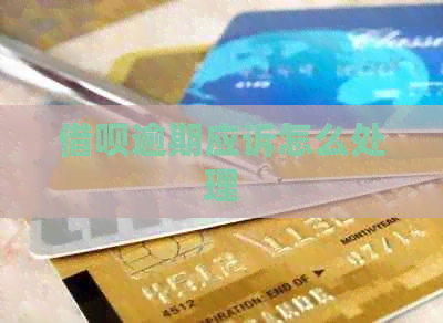 网贷逾期应诉怎么处理