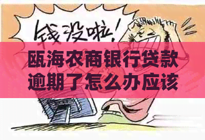 瓯海农商银行贷款逾期了怎么办应该如何处理