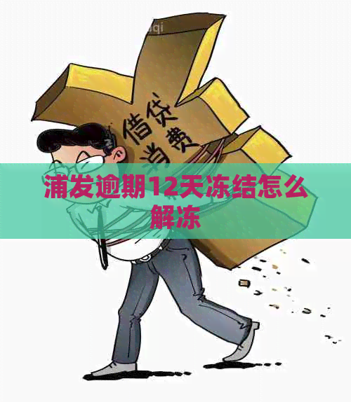 浦发逾期12天冻结怎么解冻